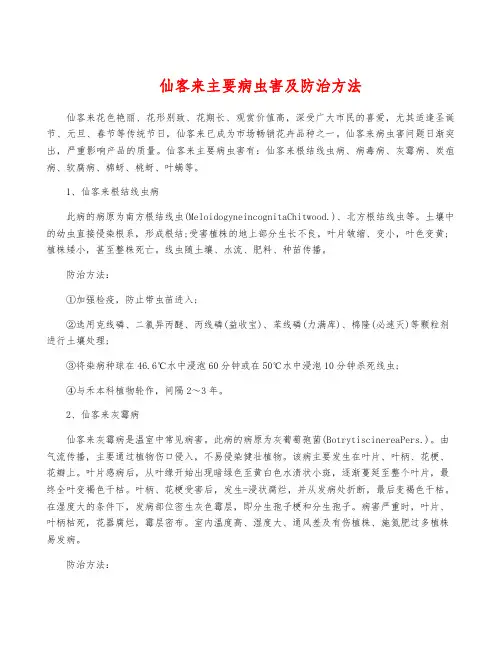 仙客来主要病虫害及防治方法