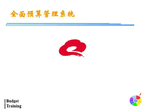 全面预算管理系统(ppt文档)