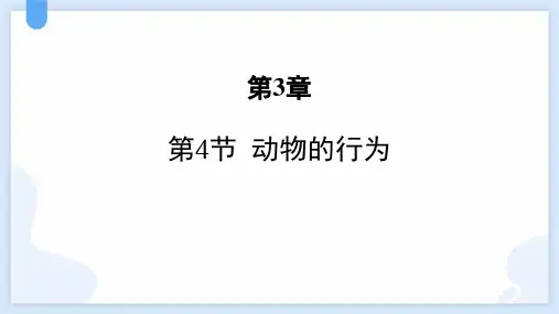 浙教版八年级科学上册《动物的行为》PPT教学课件,共23页