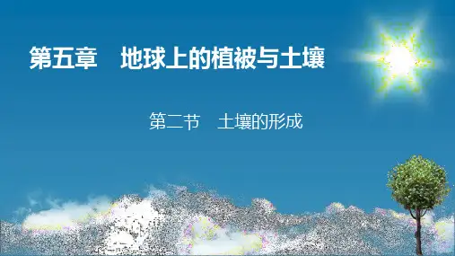 湘教版高中地理必修第1册 第5章 地球上的植被和土壤 第2节 土壤的形成