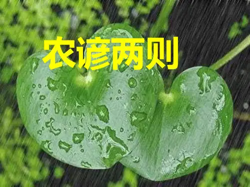 识字一3农谚两则课件