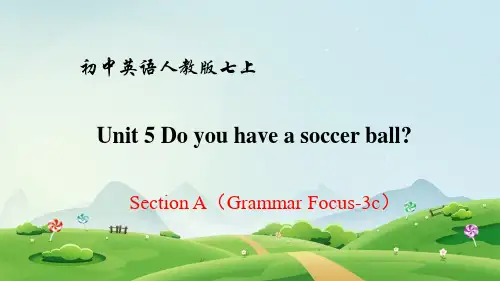Unit 5 Section A Grammar Focus-3c 课件 人教版英语七年级上册