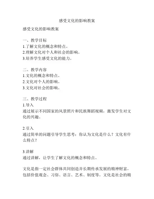 感受文化的影响教案
