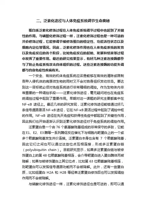 二、泛素化途径与人体免疫系统调节生命奥秘