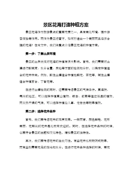 景区花海打造种植方案
