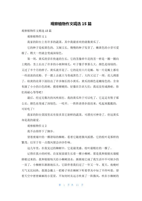 观察植物作文精选15篇