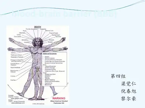 血脑屏障