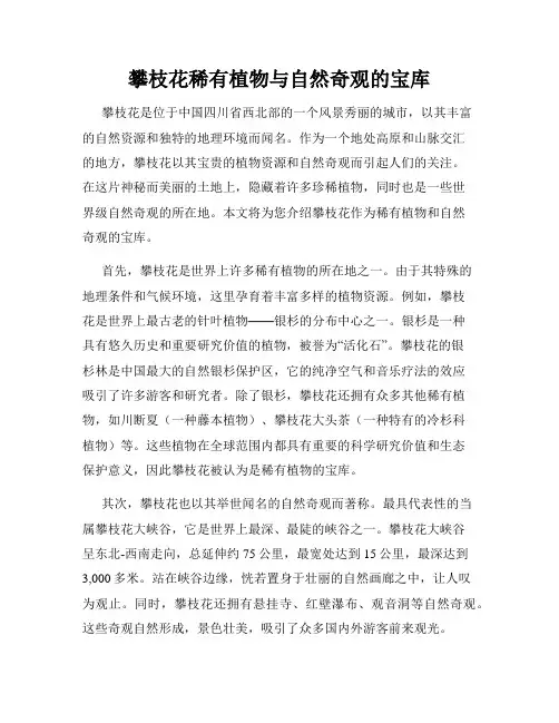 攀枝花稀有植物与自然奇观的宝库