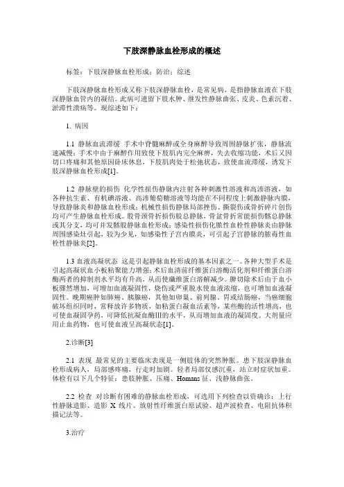 下肢深静脉血栓形成的概述