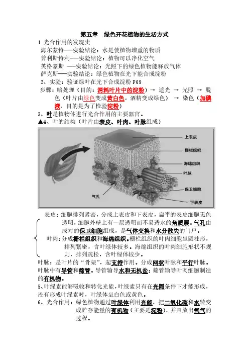 生物第五章  绿色开花植物的生活方式