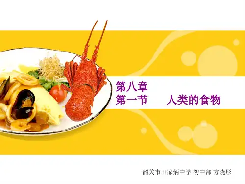 第八章 第1节 人类的食物 七年级生物下册 北师大版