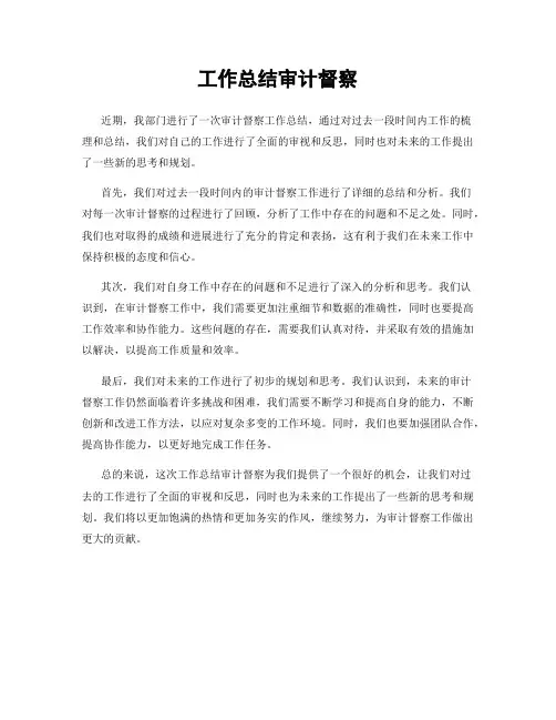 工作总结审计督察