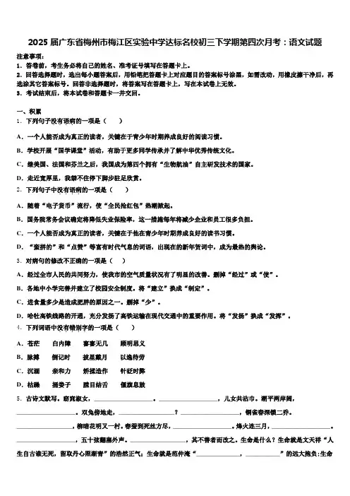 2025届广东省梅州市梅江区实验中学达标名校初三下学期第四次月考：语文试题含解析