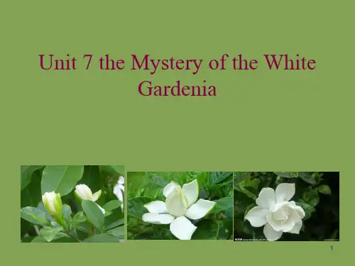 综合英语教程1-unit7-the-mistery-of-the-white-gardeniaPPT