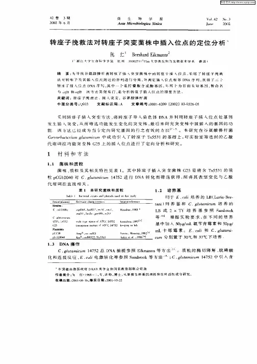 转座子挽救法对转座子突变菌株中插入位点的定位分析