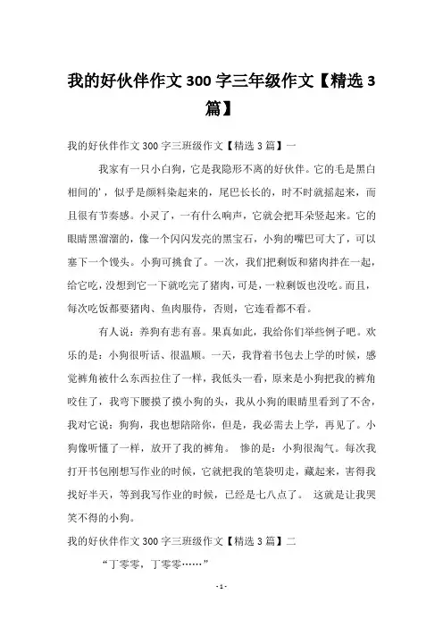 我的好伙伴作文300字三年级作文【3篇】
