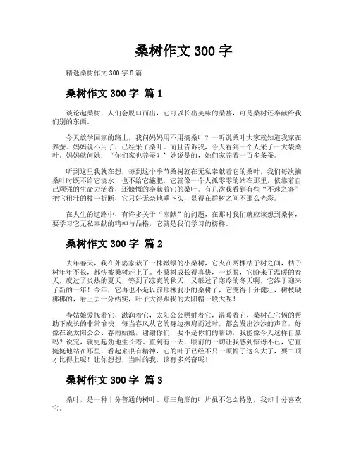 桑树作文300字