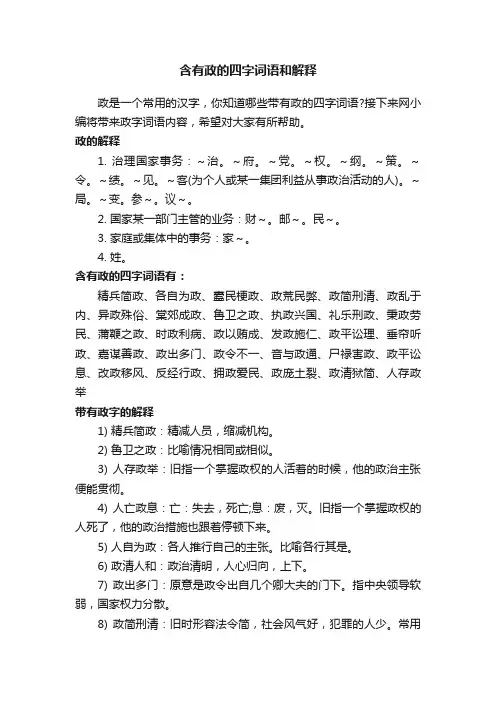 含有政的四字词语和解释