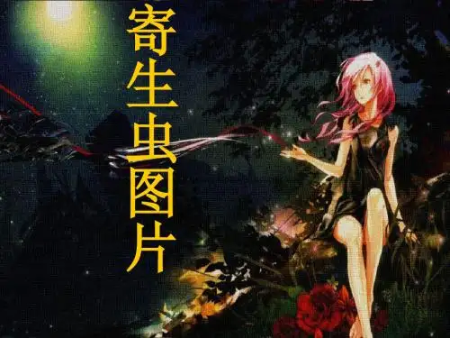寄生虫图谱考