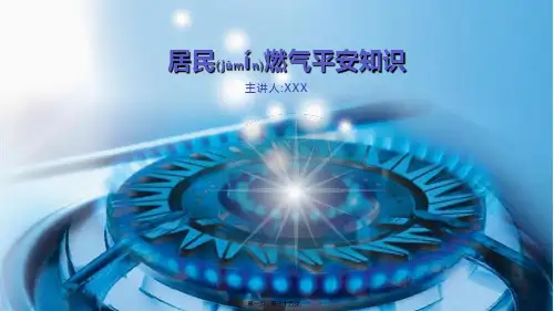 居民燃气安全(ppt版)