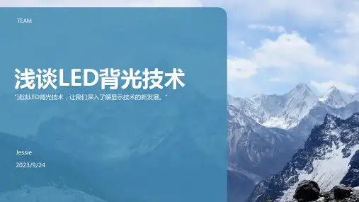 2023年LED背光源未来7大发展方向报告模板
