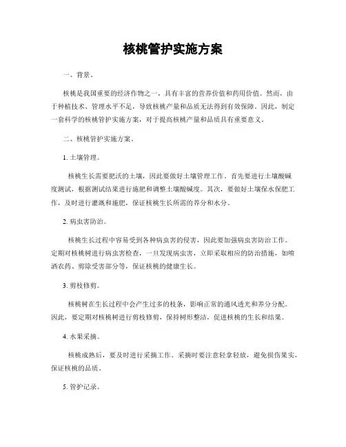 核桃管护实施方案