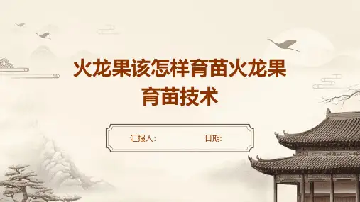 火龙果该怎样育苗火龙果育苗技术