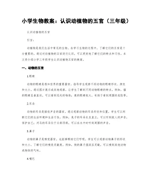 小学生物教案：认识动植物的五官(三年级)