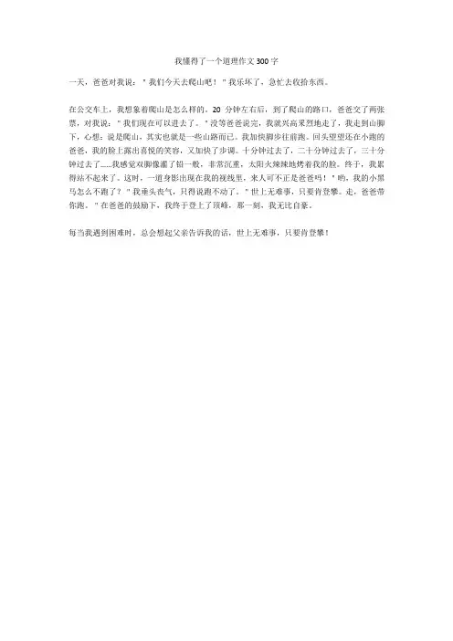 我懂得了一个道理作文300字