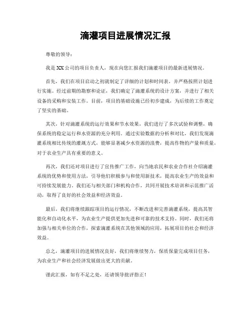 滴灌项目进展情况汇报