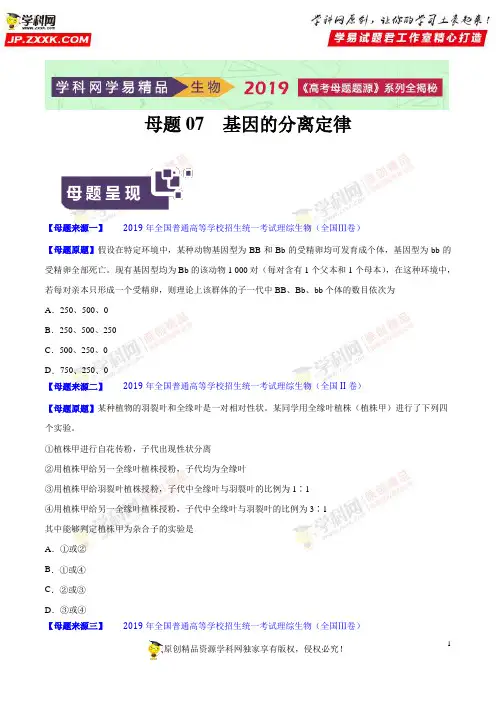 基因的分离定律(原卷版)