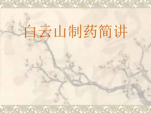 白云山制药的发展历程及产品介绍