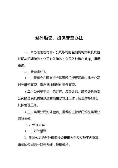 《对外融资、担保管理办法》