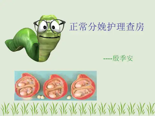 正常分娩护理查房