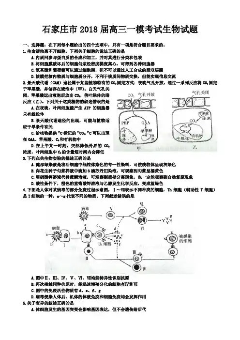 石家庄市2018届高三一模考试生物试题Word版含答案