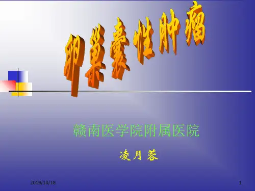 超声诊断学-11-3妇科-卵巢囊性肿瘤