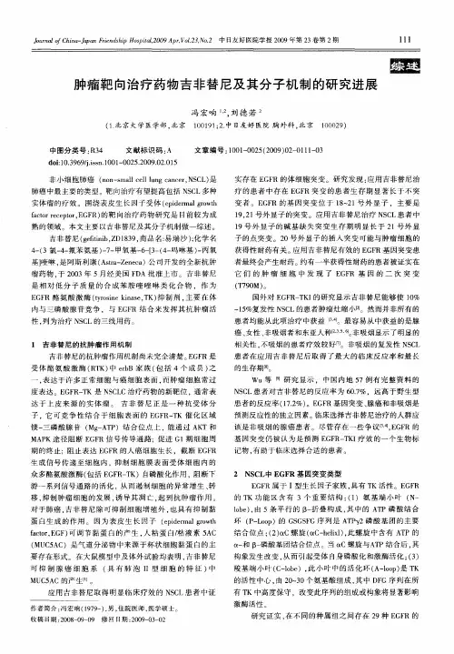 肿瘤靶向治疗药物吉非替尼及其分子机制的研究进展