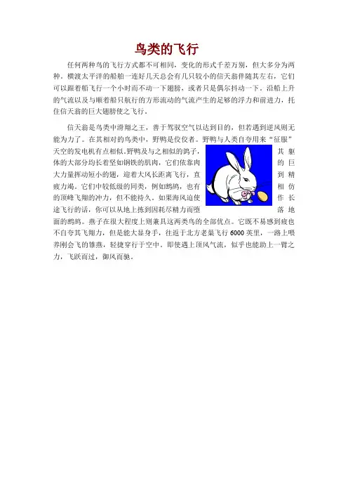 鸟类的飞行