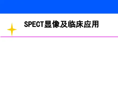SPECT显像及临床应用