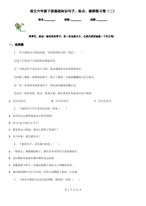 语文六年级下册基础知识句子、标点、修辞练习卷(二)