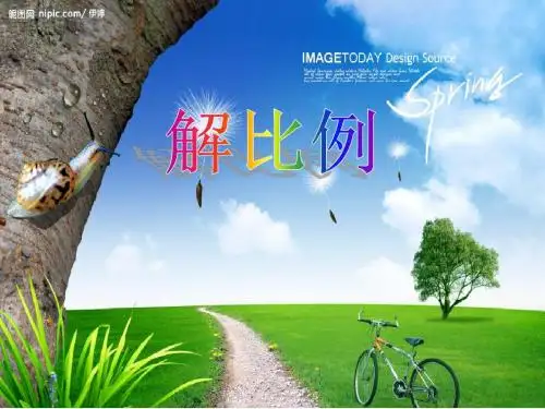 《解比例》课件PPT