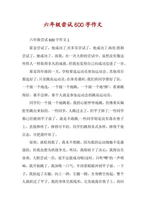 六年级尝试600字作文