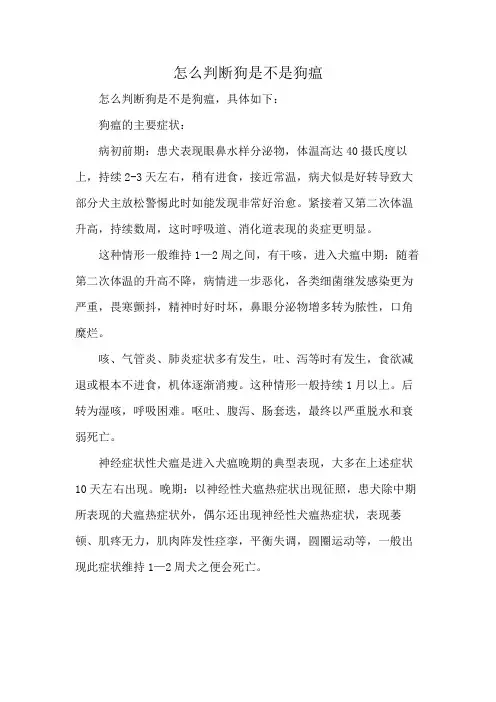 怎么判断狗是不是狗瘟