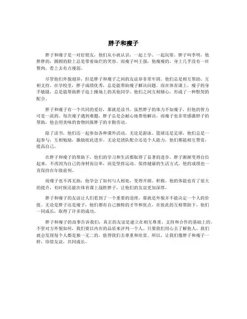 胖子和瘦子