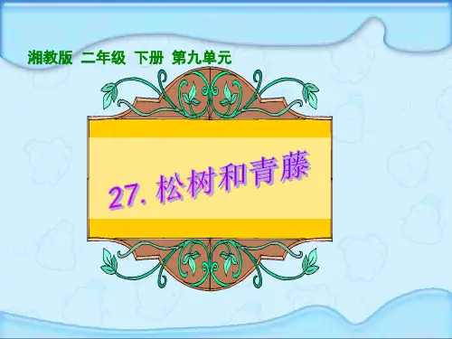 《松树和常青藤》精品PPT课件