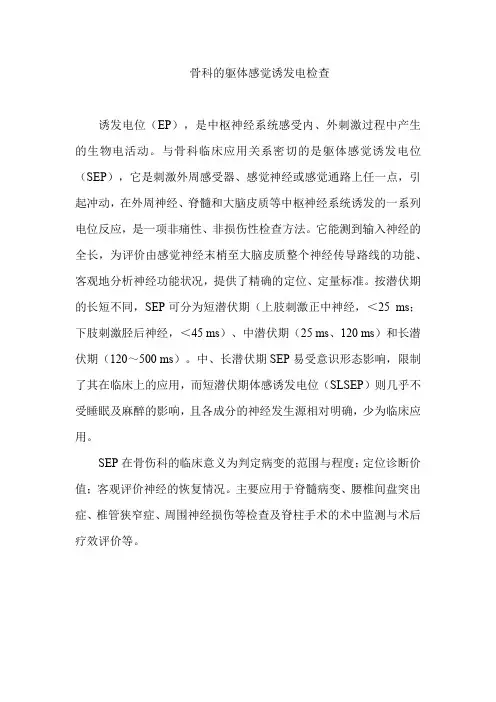 骨科的躯体感觉诱发电检查
