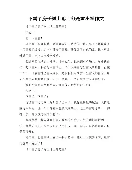 下雪了房子树上地上都是雪小学作文