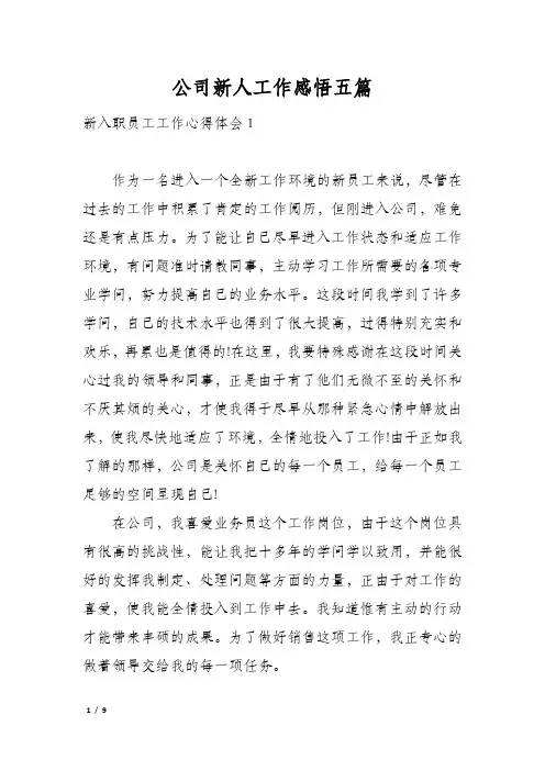 公司新人工作感悟五篇
