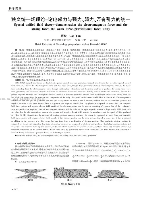 狭义统一场理论———论电磁力与强力、弱力、万有引力的统一