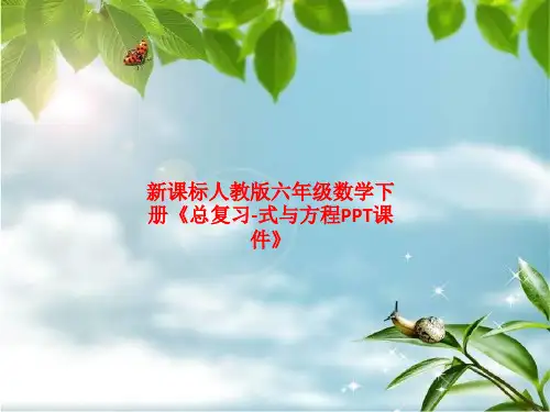 精品课件-新课标人教版六年级数学下册《总复习-式与方程PPT课件》